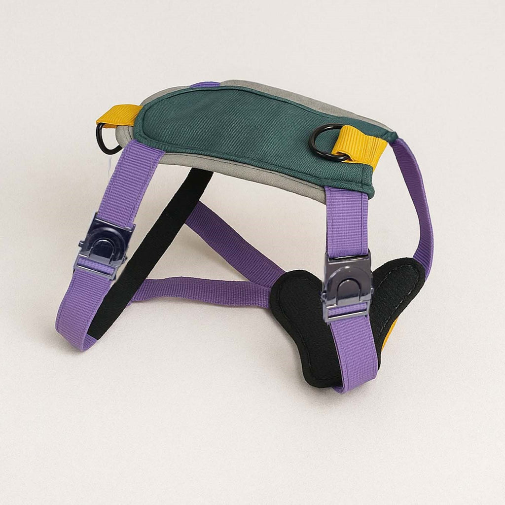 Harnais Arka - Version 100% personnalisable
